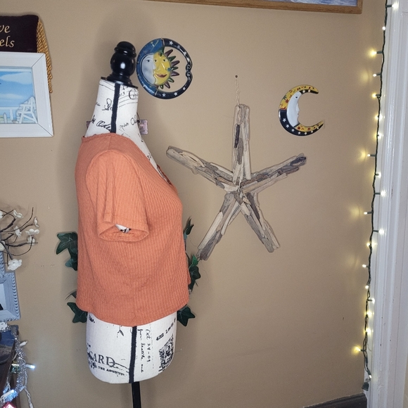 Wild Fable cropped top - Picture 5 of 9